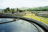 Odor eliminating for wastewater plant